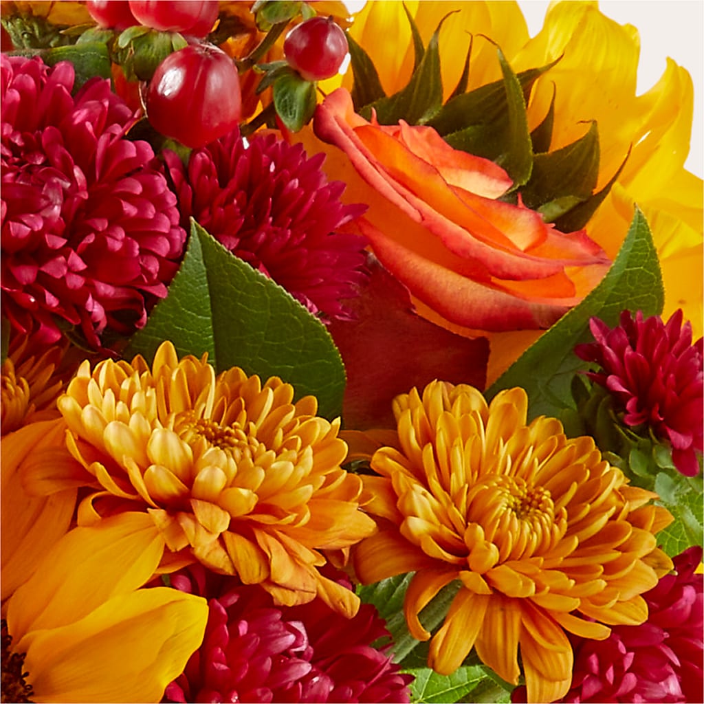 Sweater Season - A Florist Original – Forget Me Not Flowers, Whitney TX
