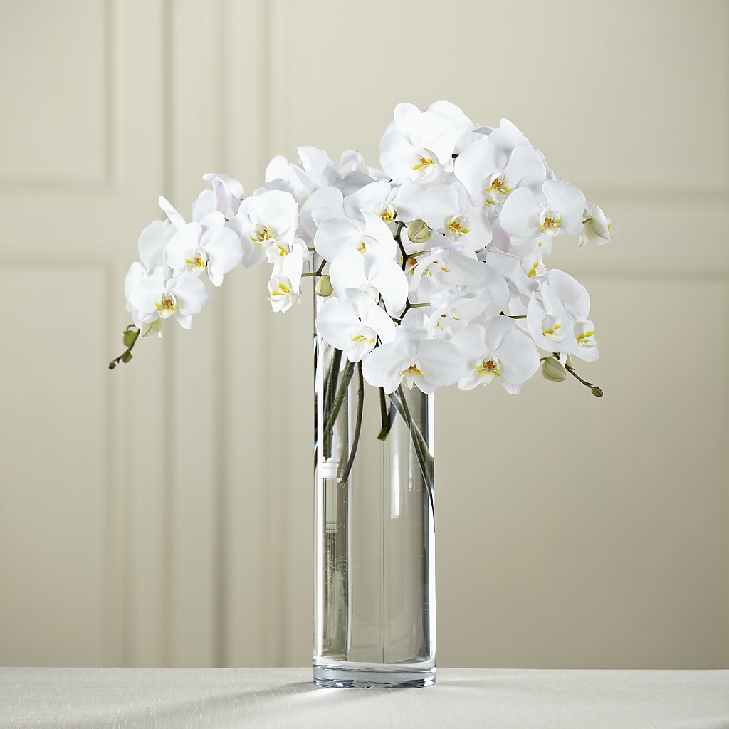 White Phalaenopsis Bouquet – Forget Me Not Flowers, Whitney TX