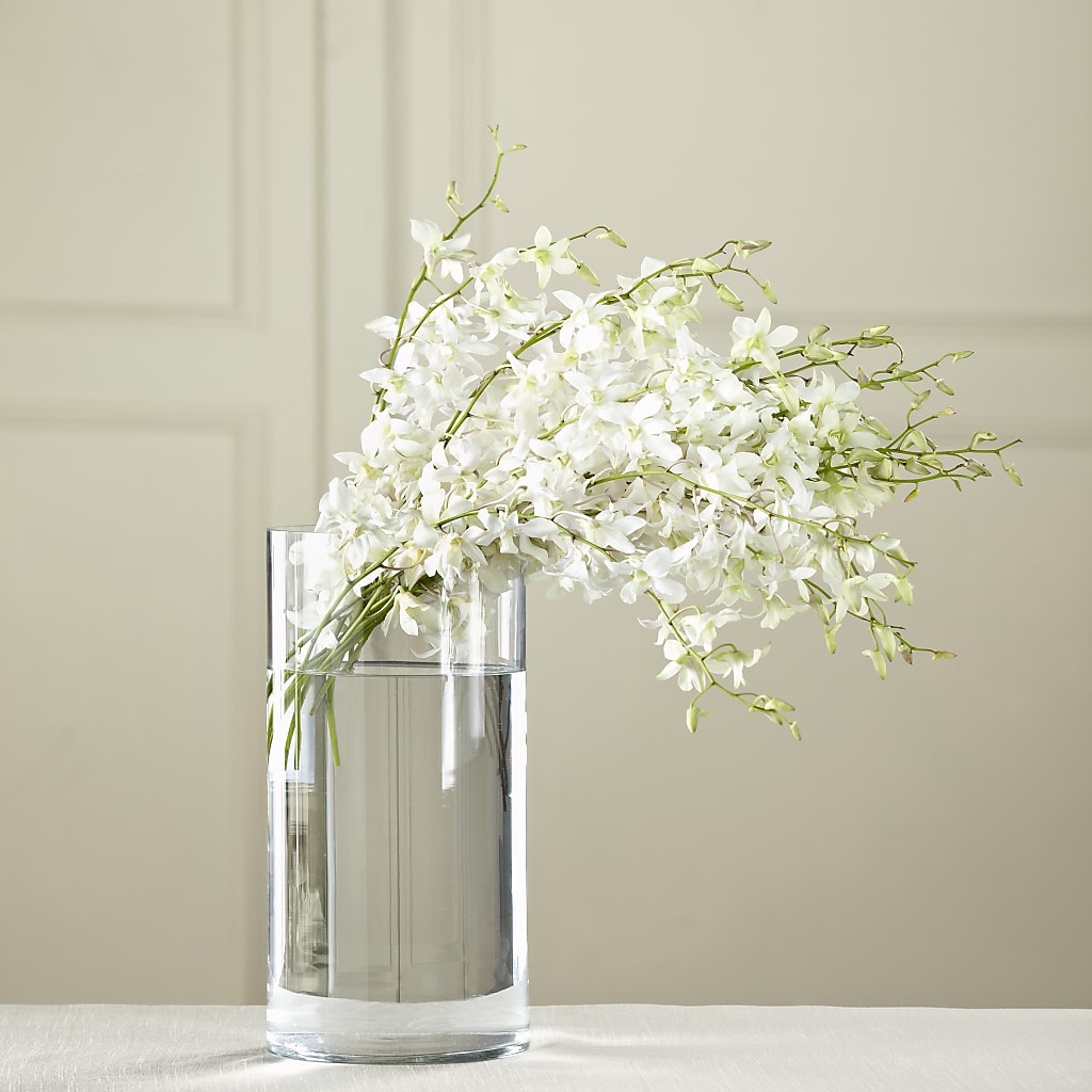 White Dendrobium Bouquet – Forget Me Not Flowers, Whitney TX