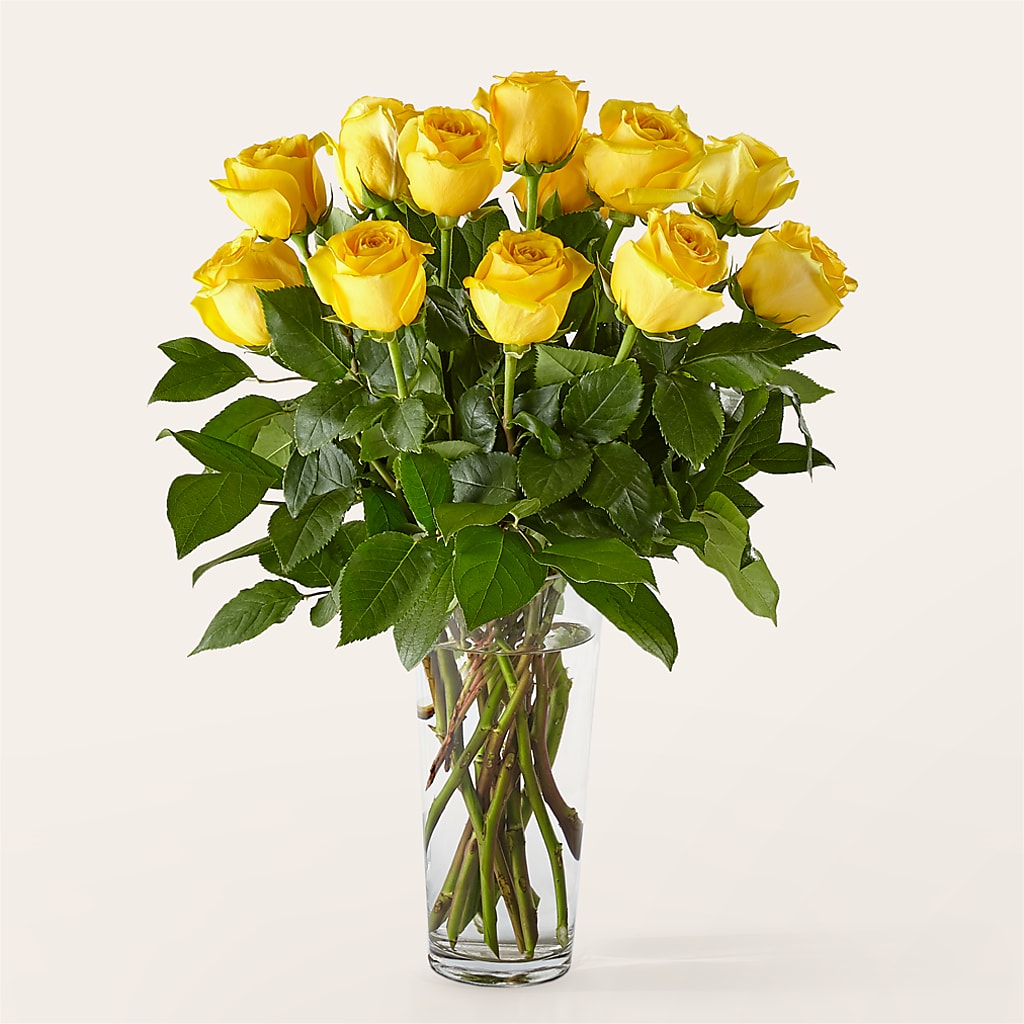 Long Stem Yellow Rose Bouquet –  Forget Me Not Flowers, Whitney TX