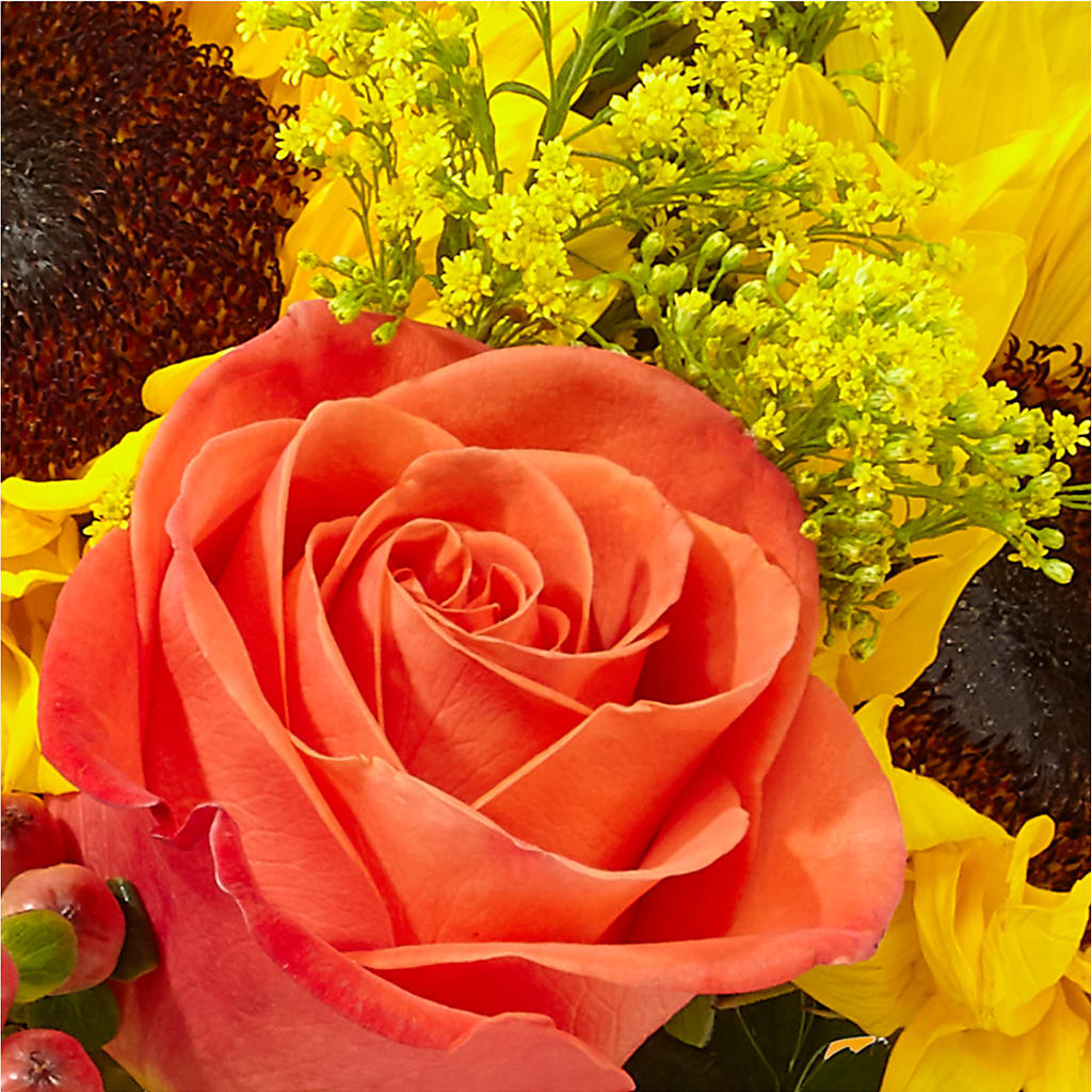 Pick of the Patch Pumpkin Bouquet –  Forget Me Not Flowers, Whitney TX