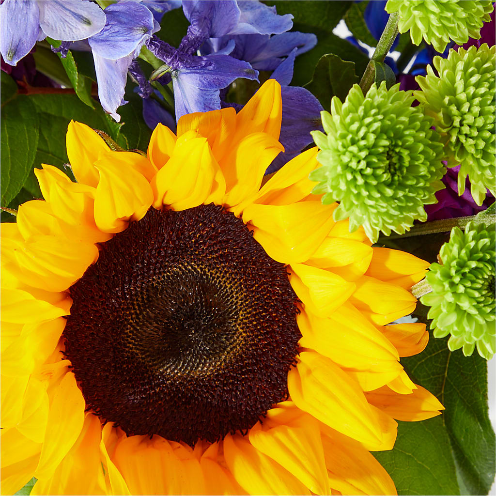 Catching Rays Bouquet –  Forget Me Not Flowers, Whitney TX