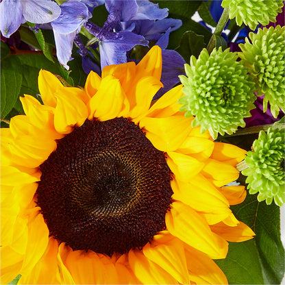 Catching Rays Bouquet –  Forget Me Not Flowers, Whitney TX