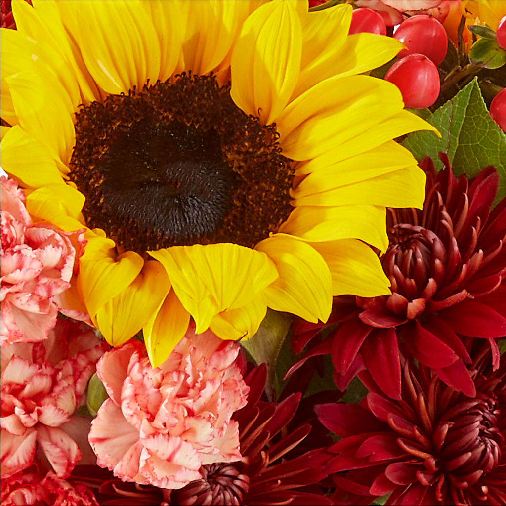 Fresh Cider Bouquet –  Forget Me Not Flowers, Whitney TX