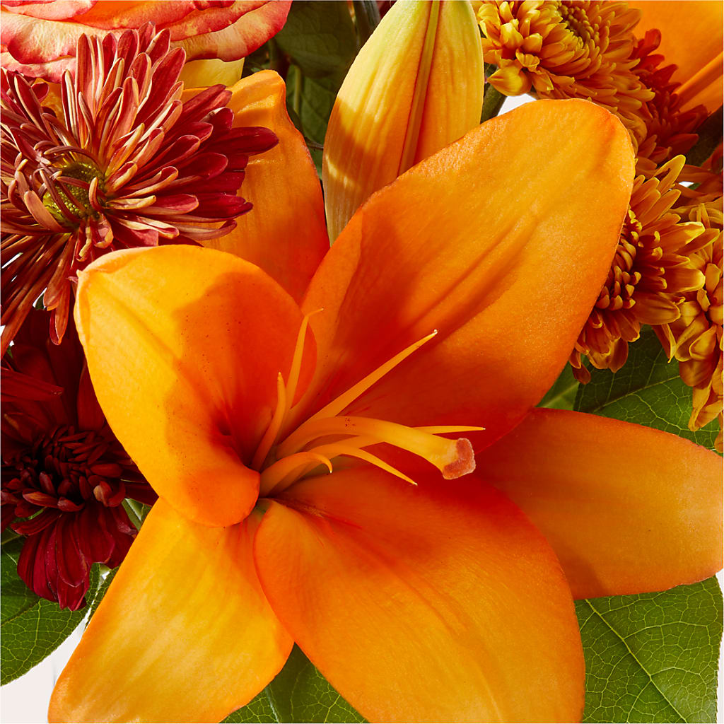 Autumnal Aroma Bouquet –  Forget Me Not Flowers, Whitney TX