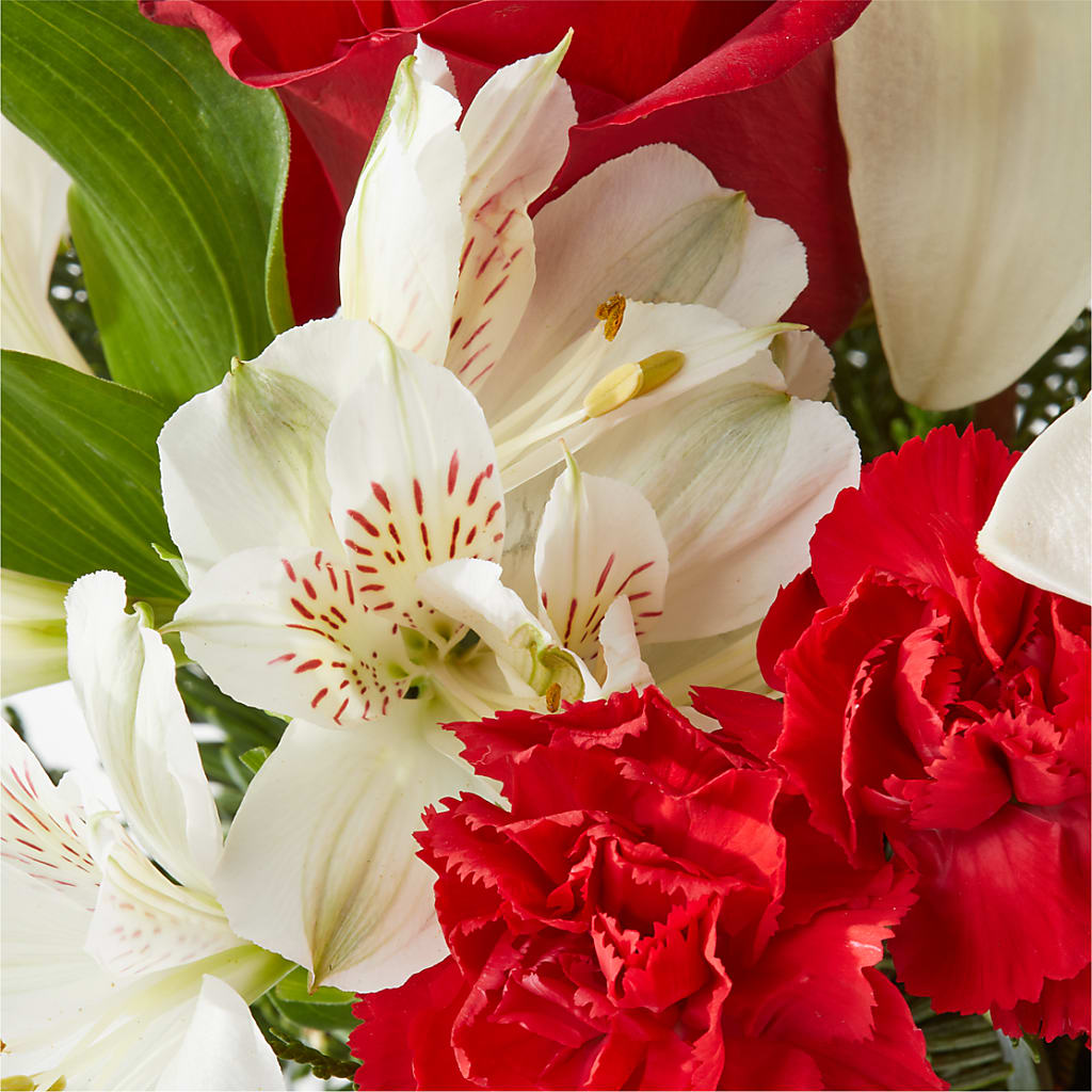 Holiday Season Bouquet –  Forget Me Not Flowers, Whitney TX
