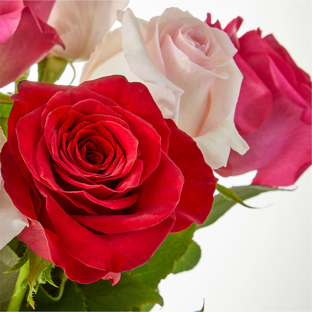 Charming Rose Bouquet –  Forget Me Not Flowers, Whitney TX