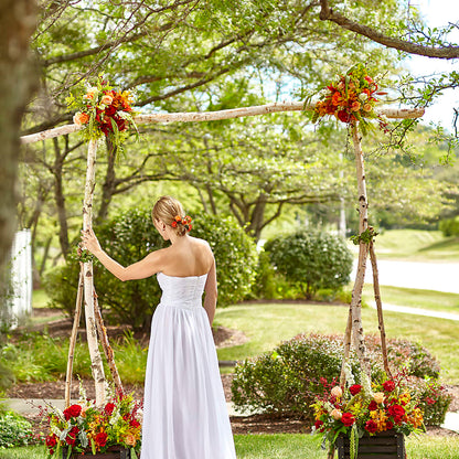 Arbor of Love Archway –  Forget Me Not Flowers, Whitney TX