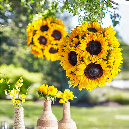 Sublime Garden Hanging Arrangement –  Forget Me Not Flowers, Whitney TX