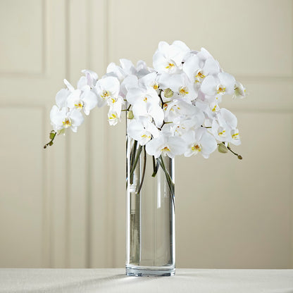 White Phalaenopsis Bouquet –  Forget Me Not Flowers, Whitney TX